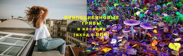 герыч Богданович